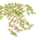 thumbnail image 3 of 100 Piezas de Flores de Lazo de Tela Satinada Hugo Manualidades, 3 of 7