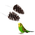 thumbnail image 7 of 2pcs Natural Cones Cage Hanging Toy Chew Toy Bird Parrot Hamster Rabbit Guinea, 7 of 7