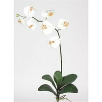 Nearly Natural 2044-CR Phalaenopsis Silk Orchid Flower with Leaves Cream 6 Stems