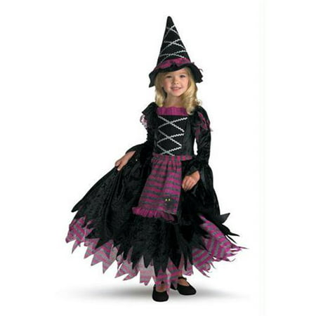 Costumes For All Occasions Dg3216M Fairy Tale Witch 3T 4T