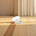 thumbnail image 2 of Rueda de hámster, juguetes de fitness para hámster, ruedas de ejercicio silenciosas, rueda para correr para hámsteres, jerbos, ratones, erizos, cobayas y mascotas pequeñas, 2 of 7