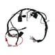 thumbnail image 1 of Arnes Electrico Veloci Razzer 200 (21-23), 1 of 3