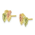 thumbnail image 2 of 10K Yellow Gold Earring Button Women'S 10 mm 9 Tri-Color Black Hills Post Earrings, 2 of 3