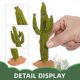 thumbnail image 2 of 2 Pcs Simulated Cactus Lifelike Cactus Figurines Desktop Artificial Cactus Modeling Statues, 2 of 2