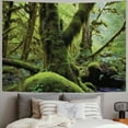 thumbnail image 2 of Chilfamy  Jungle Tapestry King Size, Monsoon Tropical Jungle Bushes Ferns Trees Vegetation Wilderness Land Scene, Wall Hanging Bedspread Bed Cover Wall Decor, Green and Brown 50x40inch, 2 of 6