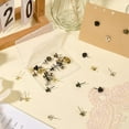 thumbnail image 3 of 40Pcs 4 Colors Double Headed Picture Hangers Hooks Metal Thumb Tacks Decorative Photo Hanging Nails Heavy Duty Push Pins Thumbtacks for Wall Tacks Cork Board Home Office Gold Silver, 3 of 4