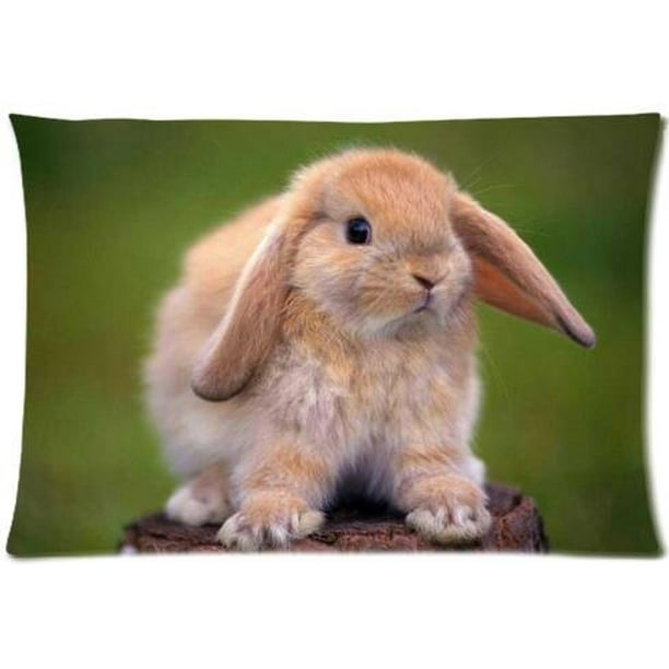 RYLABLUE mignon lapin moelleux lapins taie d'oreiller taies d'oreiller  housse de coussin 50,8 x 76,2 cm 