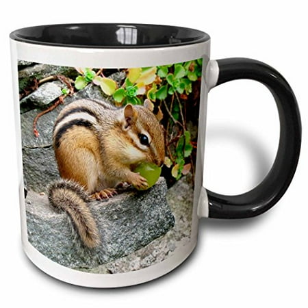 

3dRose Chipmunk Two Tone Black Mug 11oz