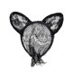 thumbnail image 1 of Diadema de encaje con orejas de gato KAIYANG para Mujer Máscara de Ojos Negra Tocado de Fiesta, 1 of 5