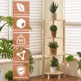 thumbnail image 5 of LELELINKY 4-Tier Corner Shelf with Sturdy Base, 40" Tall Narrow Bookcase for Small Spaces, Wood Display Shelf for Living Room, Natural, 5 of 8