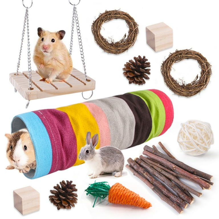 Chborless Hamster Toys For Chewing