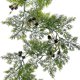 thumbnail image 1 of Christmas Norfolk 6 Ft Artificial Faux Garlands For Indoor Home Decor Xmas Holiday, 1 of 6