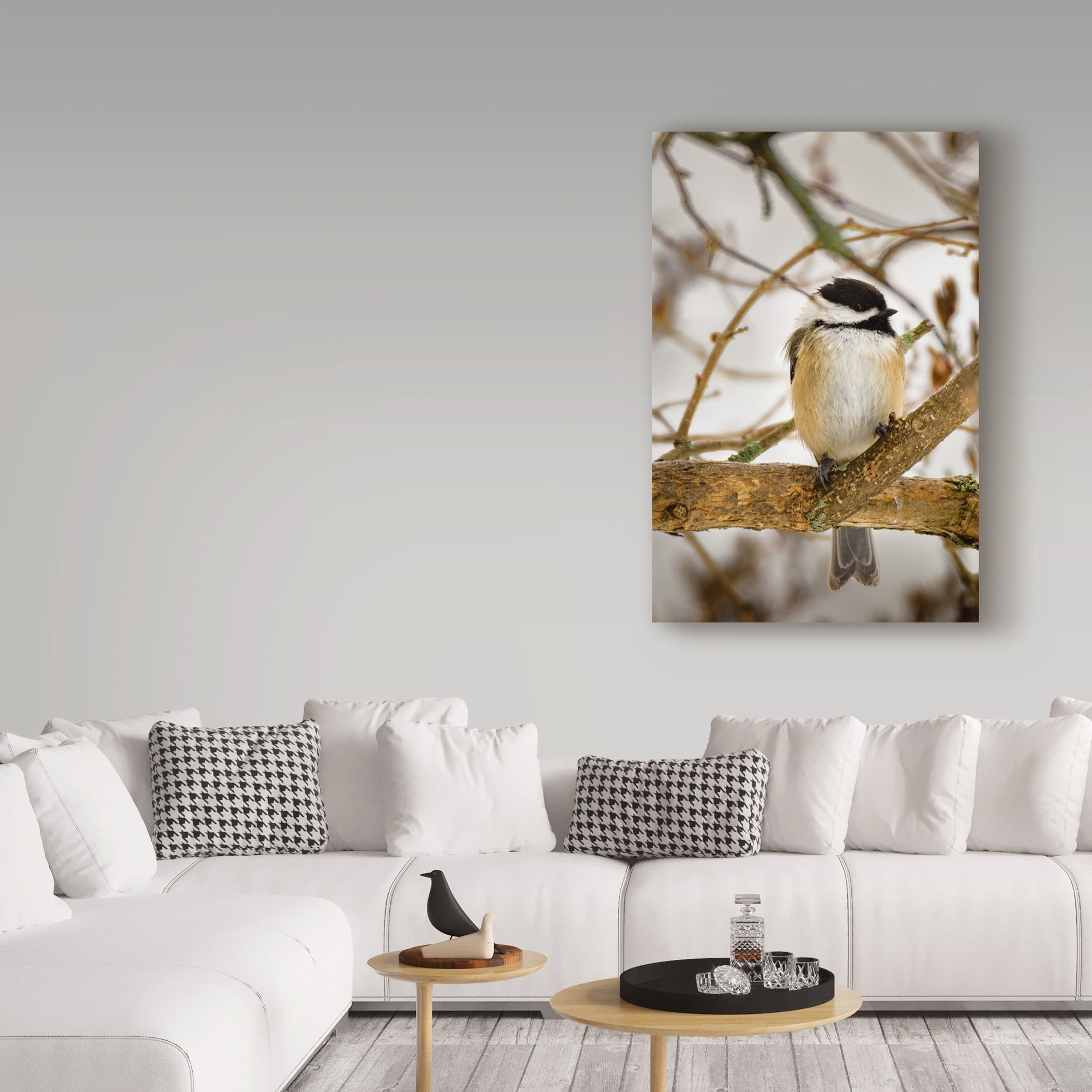 Trademark Fine Art 'Chickadee On Tree' Canvas Art by Brenda Petrella Photography Llc
