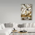 thumbnail image 3 of Trademark Fine Art 'Chickadee On Tree' Canvas Art by Brenda Petrella Photography Llc, 3 of 3