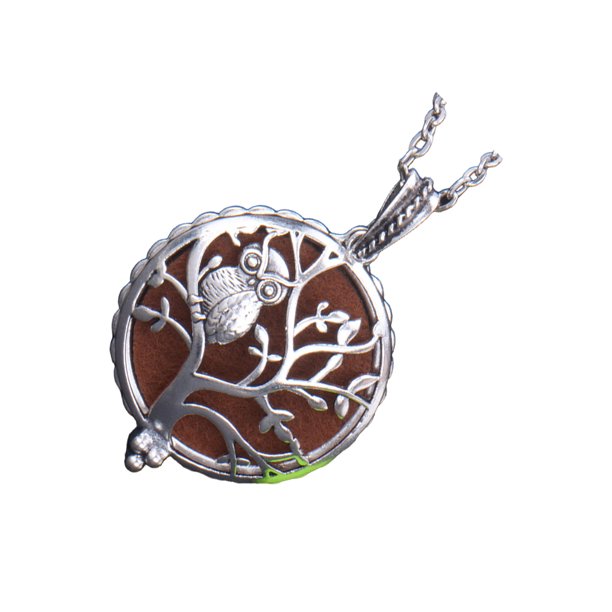 Guardurnaity Collares con difusor de aceite de aleación, colgante para amantes de las flores, joyería para el cuello, medallón hueco de moda, Ropa, zapatos y accesorios Miscelánea Tipo17