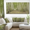 thumbnail image 1 of Dense Bouleau Grove en Journée d'Été - Impression sur Toile Forêt, 1 of 3