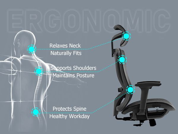 Ergonomic High Back Mesh Office Chair Adjustable Headrest Lumbar Support Swivel Desk Chair