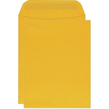 Columbian Catalog Envelopes, Self-Seal, 9-1/2 x 12-1/2 Inches, Brown Kraft, 250 Per Box (CO734)