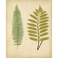 thumbnail image 2 of Lowe 12x14 White Modern Wood Framed Museum Art Print Titled - Cottage Ferns II, 2 of 4