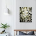 thumbnail image 3 of JEUXUS Forest Wall Art Large Grey Tree Pictures Black and White Gray Canvas Prints Hand Painted Oil Paintings Gold Leaf Framed Nature Artwork Vertical Home Decor for Living Room 16x20 inch, 3 of 4