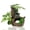 Large sunken wood, variant on aquarium decoration set, fish tank ornaments kit, artificial aquatic plants, driftwood cave hideout, shrimp breeding cave, fish spawning jar, betta fish hiding spot, small aquarium landscaping, artif