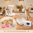 10-Piece Kitten Starter Kit for Indoor Cats, Classic White, Small ...