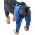 thumbnail image 2 of HSHDLDF Dog Double Hind Leg Brace Support Belt Dog Braces for Back Legs Super Supportive Dog Knee Brace for Torn Acl Hind Leg Help Dogs With Injuries Sprains Arthritis. Blue-S, 2 of 7