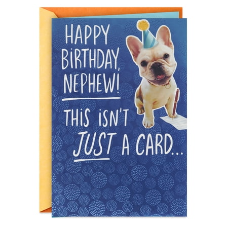 Hallmark Funny Pop-Up Birthday Card for Nephew (This Isn't Just A Card)