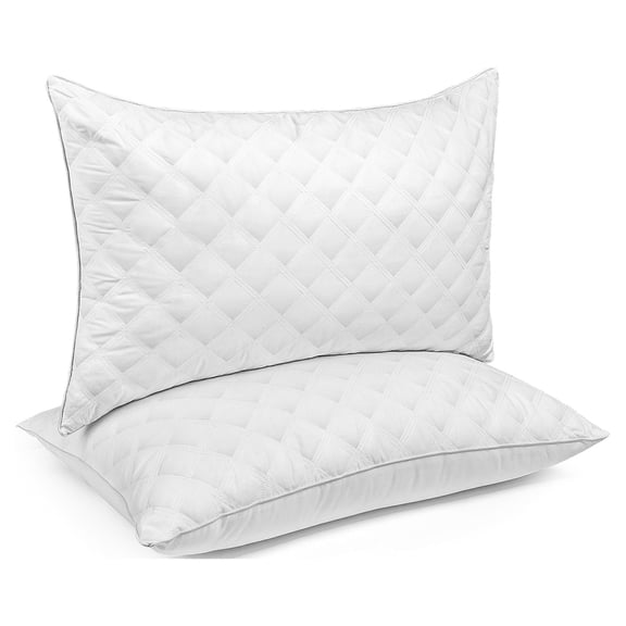 SORMAG Bed Pillows Queen Size Set of 2 Pillows for Bed 2 Pack Hotel Collection Down Alternative Pillows 20 x 30 inches