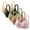 Pink, variant on Bixock 5PC Wireless Bras for Women No Underwire Thin Cup Daily Basic Style Fabric Light Weight Daily Inner Wear Women Bras