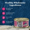 thumbnail image 6 of Blue Buffalo Wilderness High-Protein Adult Cat Wet Food, Salmon, 5.5-oz. Can, 6 of 11