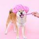 thumbnail image 4 of ELAYARD Collar Para Mascotas Con Artificiales Y Corazón Grabado En Color Rosa Para Fiesta Y, 4 of 8
