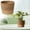 A, variant on Hand-Woven Seagrass Flower Pot Basket, Multi-Functional Planter & Storage Organizer for Indoor/Outdoor Plants, Decorative Rattan Vase for Home & Garden, A