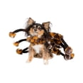 thumbnail image 2 of Spider Dog Costume and Cat Costume, 2 of 6