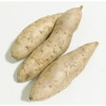 thumbnail image 2 of Patates Douces Violettes Fraîches-2lbs, 2 of 3