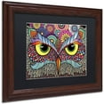 thumbnail image 2 of Trademark Fine Art "Owl Face" Canvas Art by Hello Angel, Black Matte, Wood Frame, 2 of 4