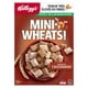 Céréales Kellogg's Mini-Wheats Saveur de cassonade, 510 g – image 4 sur 9
