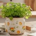 thumbnail image 2 of Lemon Summer Decor Plant Pot, 6 Inch Vintage Ceramic Planter with Drainage for Indoor Plants, Rustic Lemons Vase for Centerpieces, Mediterranean Kitchen Home Decor, Yellow Gifts for Gardening, 2 of 14