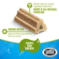 thumbnail image 4 of Purina DentaLife ActiveFresh Large Dog Treats Dental Chews with Chicken, 35 oz Pouch, 2 Packs (30 Count), 4 of 11