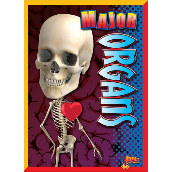 Amazing Human Body: Major Organs (Paperback)