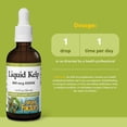 thumbnail image 4 of Natural Factors Liquid Kelp, 50ml, 1.6 Fl Oz, 4 of 8