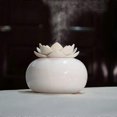 thumbnail image 2 of Ultrasonic Air Humidifier Home Quiet Bedroom Office Aroma Diffuser, 2 of 5
