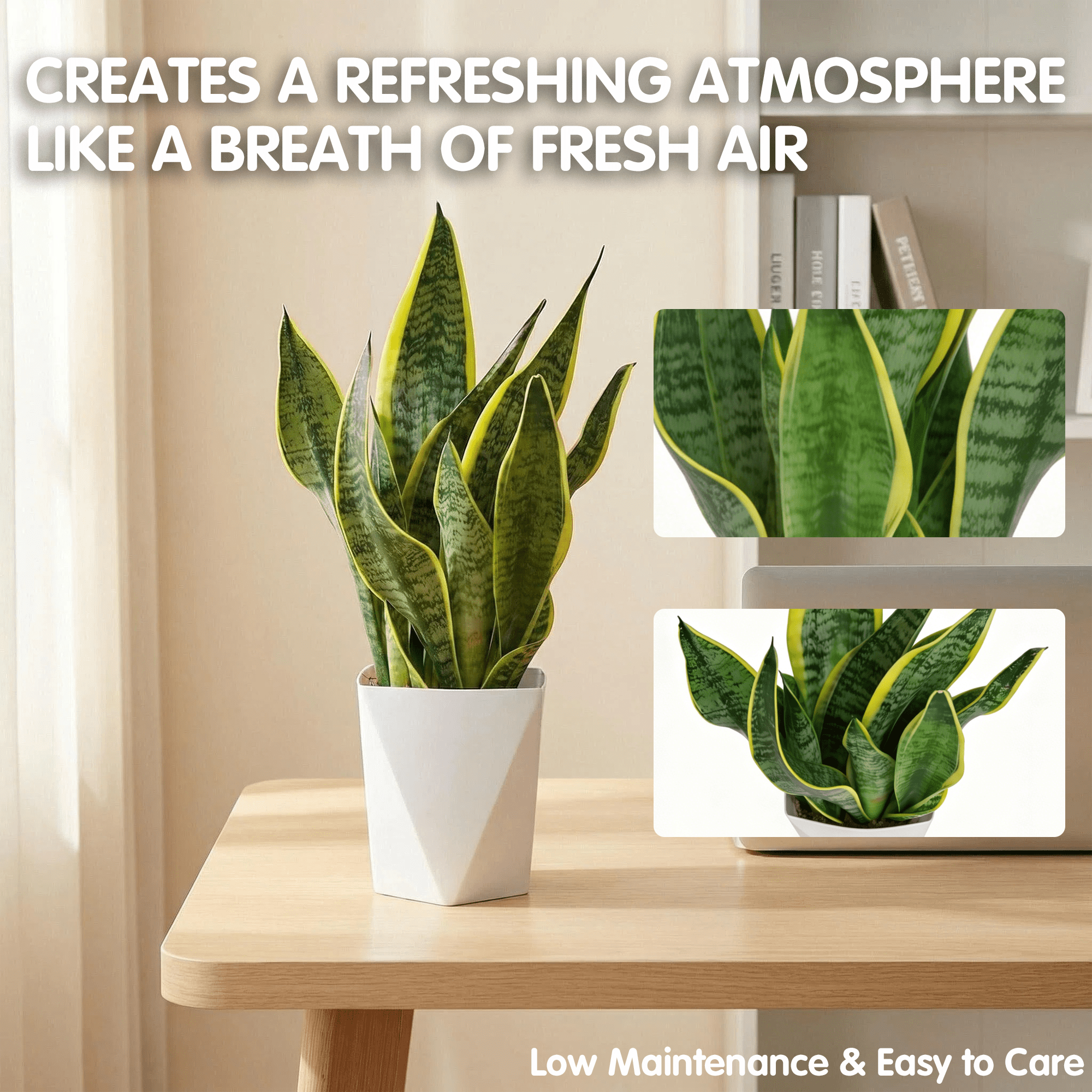 Snake Plant Indoor Potted Plant 12 Inch, Sansevieria Mother in Law Tongue, Easy Care Low Light Air Purifying Plant for Home Office Desk Décor