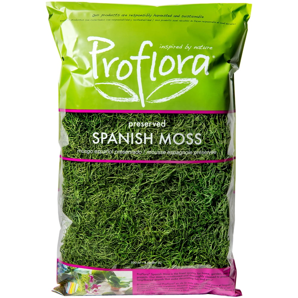 Spanish Moss True Green, 16 Oz.