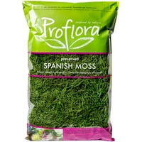 SPANISH MOSS - True Green - 16oz Big Bag