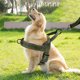 thumbnail image 3 of Arnés para perros sin tirones, acolchado, reflectante, ajustable y a prueba de fugas, para perros pequeños, medianos y grandes, para adiestramiento y paseos, 3 of 3