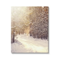 Stupell Industries Snowy Winter Path Nature Photography Gallery Wrapped Canvas Print Wall Art, 16 x 20
