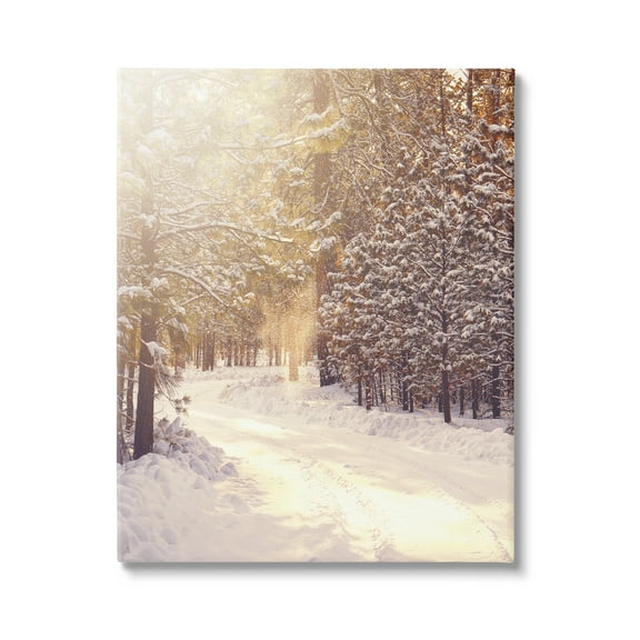 Stupell Industries Snowy Winter Path Nature Photography Gallery Wrapped Canvas Print Wall Art, 16 x 20