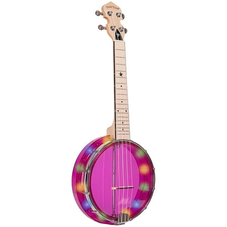 Gold Tone TS-250 Tenor Special Banjo With Case Vintage Brown