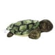 thumbnail image 3 of Adorable miniflopsie™ Splish-Splash™ de peluche Aurora®, 3 of 4